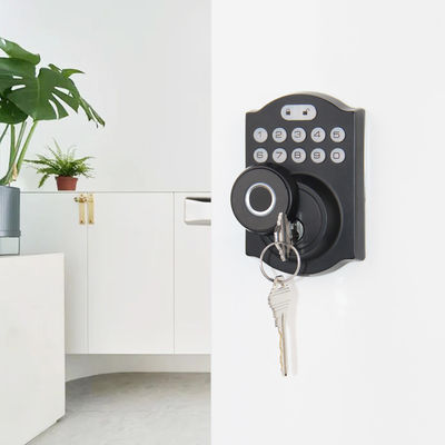 Aluminum Alloy Residential Electronic Lock Fingerprint Smart Lock Tuya App