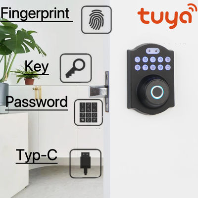 Aluminum Alloy Residential Electronic Lock Fingerprint Smart Lock Tuya App