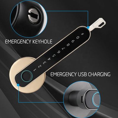Multifunctional Wifi Smart Door Lock / Keypad Electronic Door Lock With Key