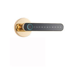 Multifunctional Wifi Smart Door Lock / Keypad Electronic Door Lock With Key