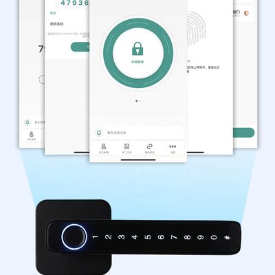 Security Smart Door Lock System / Residential Fingerprint Door Locks