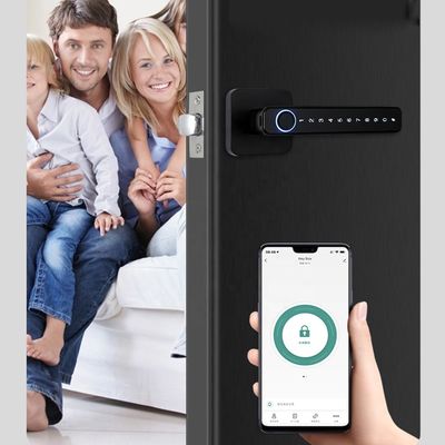Security Smart Door Lock System / Residential Fingerprint Door Locks
