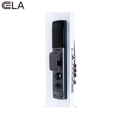 Household Tuya Wifi Smart Door Lock With Face Recognition