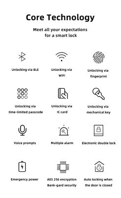 Family Push Pull Door Lock Smart Electronic Digital Door Lock