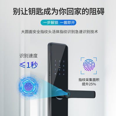 OEM ODM Schwarz RFID Smart Door Lock mit Fingerabdruck und Passwort