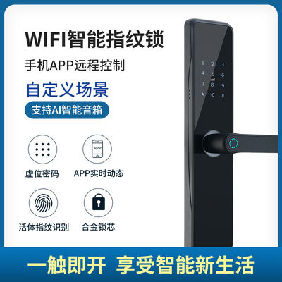 OEM ODM Schwarz RFID Smart Door Lock mit Fingerabdruck und Passwort