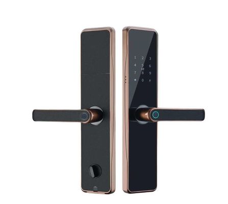 OEM ODM Schwarz RFID Smart Door Lock mit Fingerabdruck und Passwort