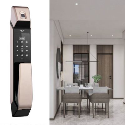 OEM ODM Fingerprint Handle Door Lock Face Recognition Zinc Alloy Material