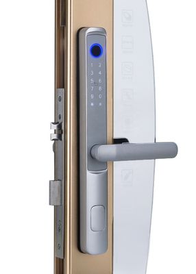 Fingerprint Biometric Security Smart Door Lock SUS304 / Aluminum Alloy