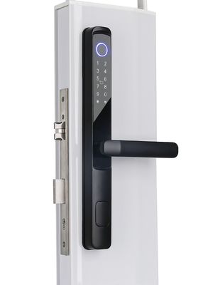 Fingerprint Biometric Security Smart Door Lock SUS304 / Aluminum Alloy