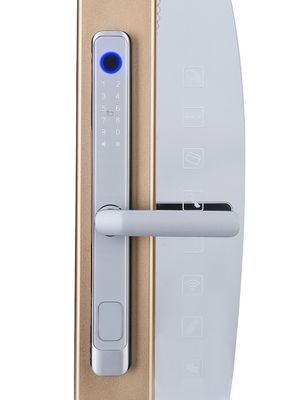 Home Sliding Smart Door Lock Electronic Fingerprint Door Lock