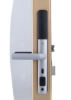 Home Sliding Smart Door Lock Electronic Fingerprint Door Lock