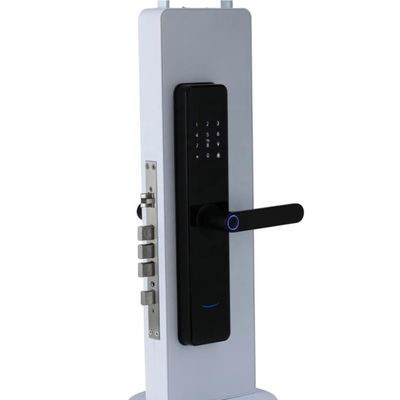 Chinese Smart Door Lock Electric With Touch Screen 2 Years Warranty