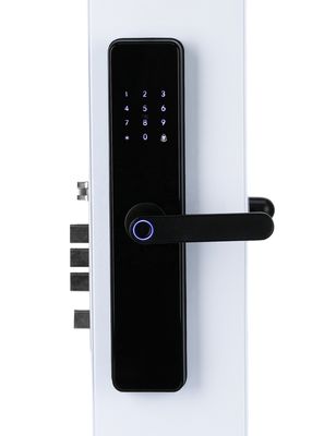Chinese Smart Door Lock Electric With Touch Screen 2 Years Warranty