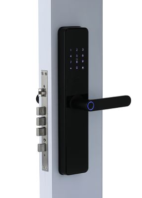 Chinese Smart Door Lock Electric With Touch Screen 2 Years Warranty