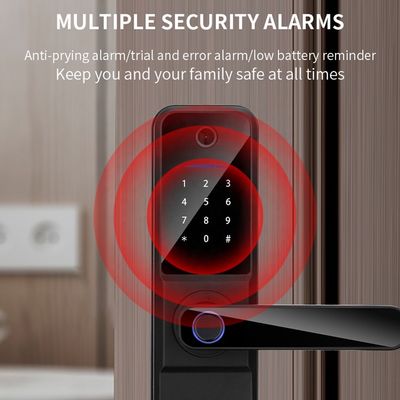 WiFi Fingerprint Door Lock Aluminum Alloy Smart BLE Door Lock