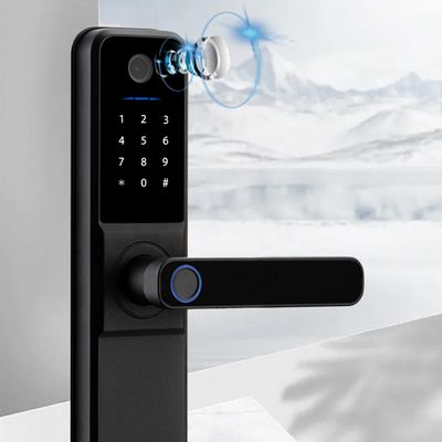 WiFi Fingerprint Door Lock Aluminum Alloy Smart BLE Door Lock