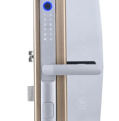 Hotel Tuya APP Smart Lock Digital Fingerprint Door Lock For Silding Door