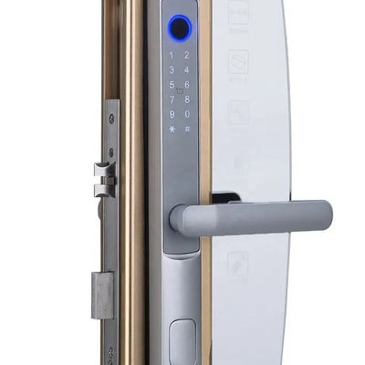 Hotel Tuya APP Smart Lock Digital Fingerprint Door Lock For Silding Door