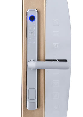 Home Electronic Fingerprint Sliding Door Safety Lock 2 Years Warranty