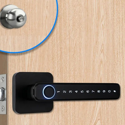 Zinklegierung Tuya APP Smart Lock Passwort Schlüsselloses elektronisches Türschloss