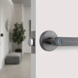 Bluetooth / Tuya APP Smart-Türknopf Fingerabdruck Zinklegierungsmaterial
