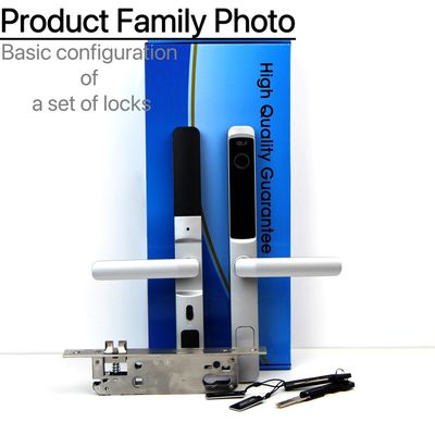Aluminum Alloy Tuya Wifi Door Lock Smart Biometric Fingerprint Handle Door Lock