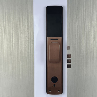 Black Face Recognition Door Lock Smart Eye Recognition Door Lock