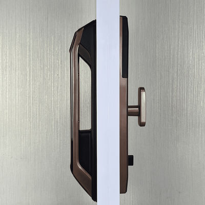 Black Face Recognition Door Lock Smart Eye Recognition Door Lock