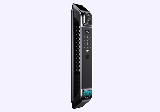 Office Face Recognition Door Lock Fingerprint Scanner Door Access System