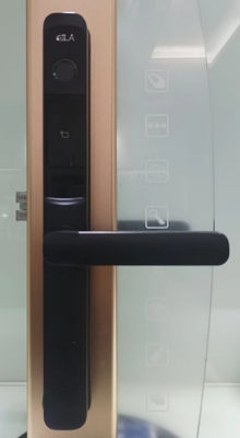 Smart Door Lock Broken bridge aluminum lock black