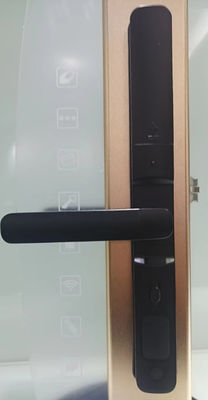 Smart Door Lock Broken bridge aluminum lock black