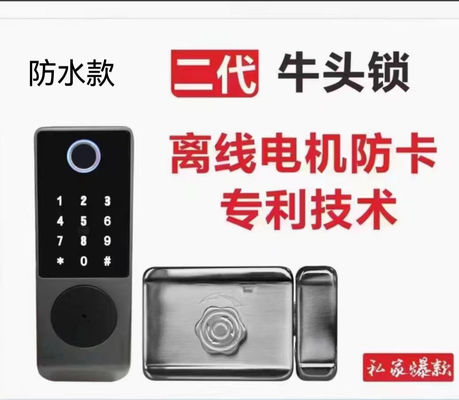 Smart Door Lock Bull lock Stainless steel door lock