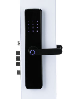 Biometric Fingerprint Door Lock Security Keyless Security Door Locks