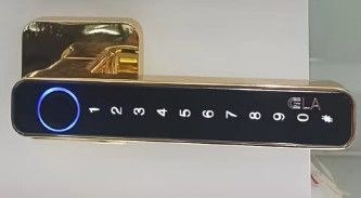 High Security Residential Door Locks Electronic Entry Door Locks