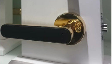 High Security Residential Door Locks Electronic Entry Door Locks