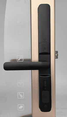 Smart Door Lock  keyless with hotel system lock electronic black