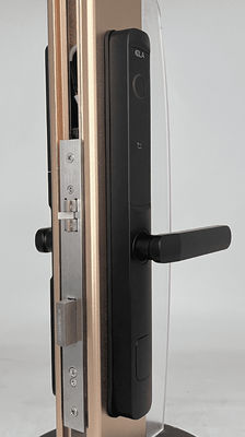 Smart Door Lock  keyless with hotel system lock electronic black
