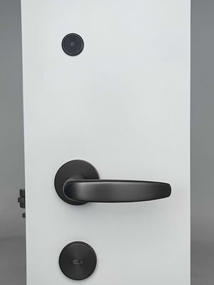 Smart Door Lock keyless front door lock hotel lock