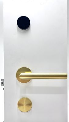Biometric Smart Hotel Lock Stainless Steel Hotel Room Door Lock