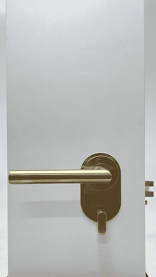 Biometric Smart Hotel Lock Stainless Steel Hotel Room Door Lock