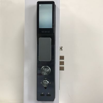 Apartment Face Recognition Smart Lock / Black Fingerprint Security Door Lock