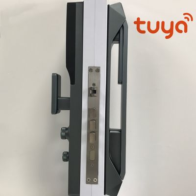 Smart Fingerprint House Door Lock Face Recognition Aluminum Alloy Material