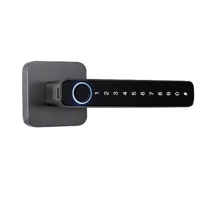 Black Fingerprint Keypad Door Lock Zinc Alloy For Office / Room