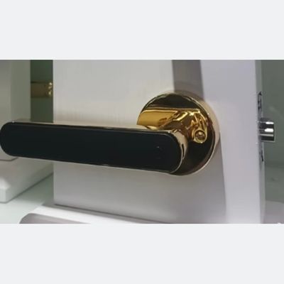 OEM ODM Push Pull Door Lock Digital Wifi Keyless Entry Door Lock