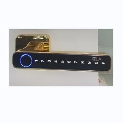 High Security Residential Door Locks Electronic Entry Door Locks