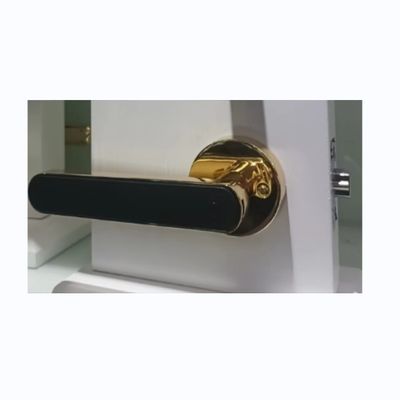 High Security Residential Door Locks Electronic Entry Door Locks