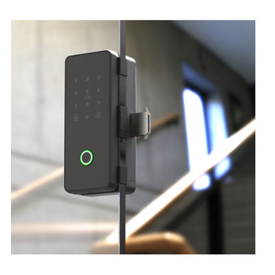 House Fingerprint Glass Door Smart Lock Black Color