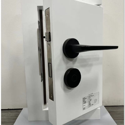 Black bluetooth Smart Electric Door Lock For Home