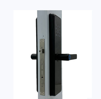 Tuya TTLock App Intelligent Doorlock ELA E-30 Inteligentes Con Wifi Electric Digital Fingerprint Keyless Entry Smart Doo